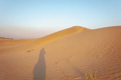 Shadow on the dunes Stock Photos
