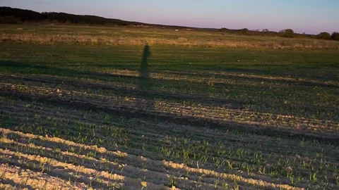 Shadow farmer Stock Footage 88450715