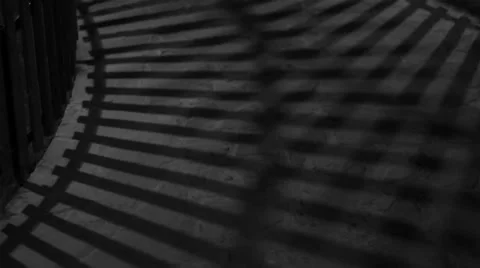 The shadow of the fence Stock-Footage 36257050