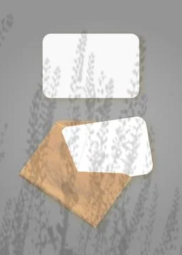 The shadow of field grass falls on an envelope with two sheets of textured white Stock Illustration