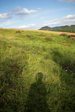 Shadow in the field. Foto stock