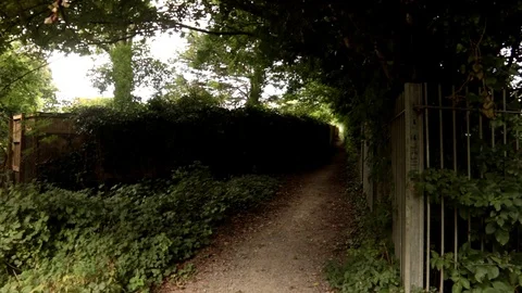 A Shadow-Filled Pathway, Overseen by Trees Video stock 94814306