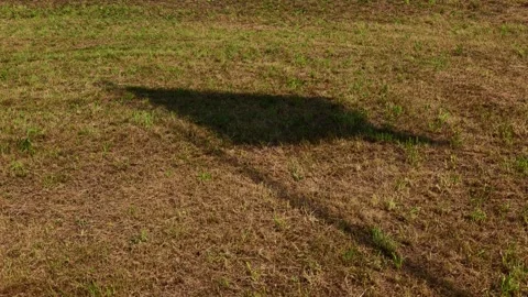 Shadow of a Flag on the Grass 動画素材 264756201