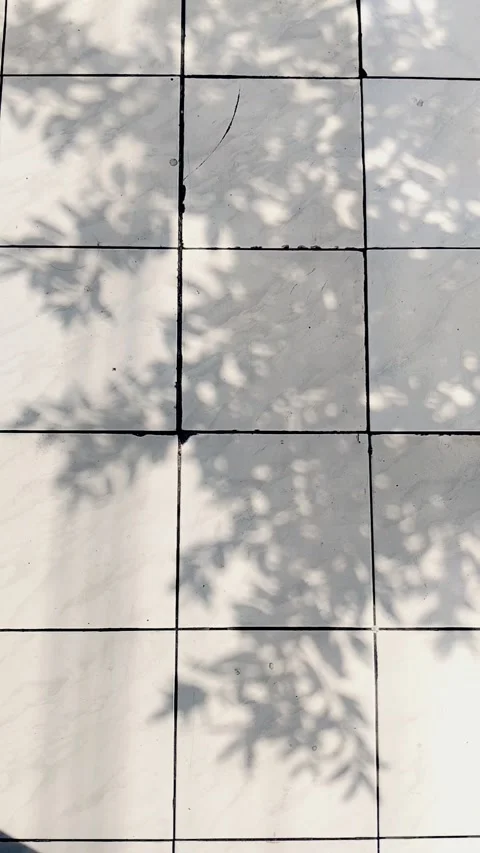 Shadow on the floor Stock Footage 342780386