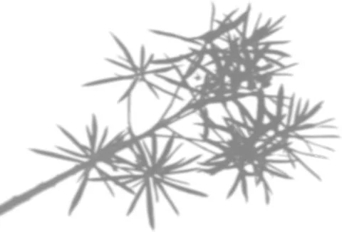 The shadow of the flower tops on the white wall. Black and white image to Illustrazione stock