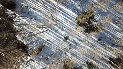 Shadow fly by Stock Footage 88450133