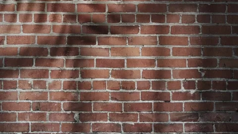 Shadow Foliage on Brick Wall Textured, Calming Swaying Branches. Stock Footage 311492466