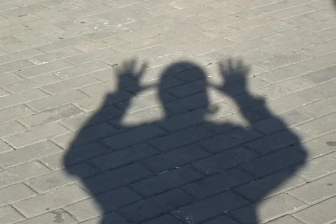 Shadow  動画素材 364989