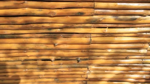 Shadow Video stock 8568005