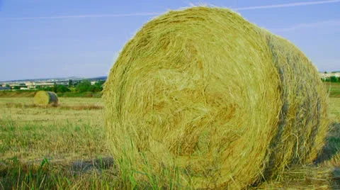 Shadow Stock-Footage 22457350