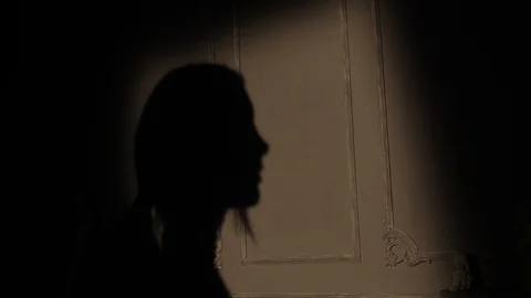 Shadow Video stock 106465656