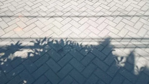 Shadow Stock Footage 282000548