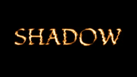 SHADOW Stock Footage 336838877