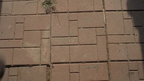 Shadow of a gate opens, closes. Man comes in and goes out Stock-Footage 126962525