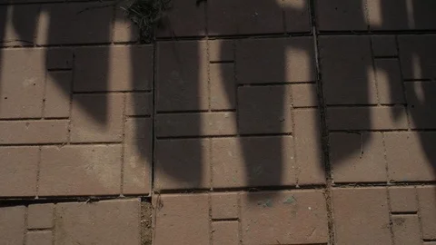 Shadow of a gate opens, closes. Man comes in and goes out, loop Stock Footage 126962595