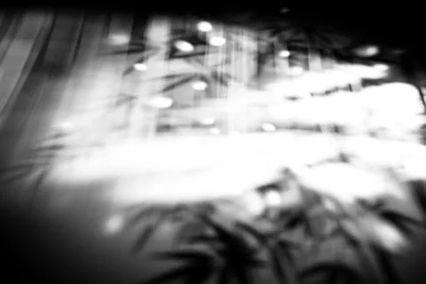 Shadow gobo lighting. Window light background design element Stock Photos