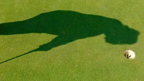 Shadow of a Golfer Putting the Golf Ball with Success in the Hole 動画素材 161220703
