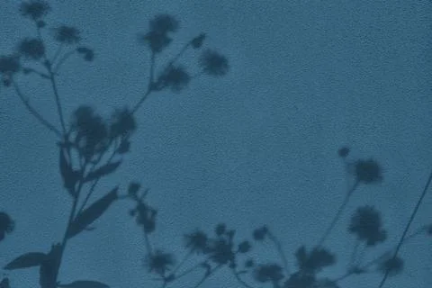 Shadow of grass on blue concrete wall texture background 스톡 일러스트
