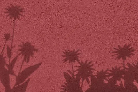 Shadow of grass on red concrete wall texture background Stock Photos