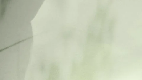 Shadow green background wall light white overlay abstract plant 4k backdrop Stock Footage 296153294