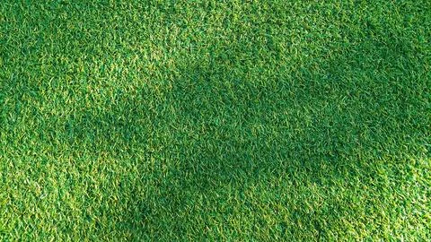 Shadow on green grass background Stock Photos