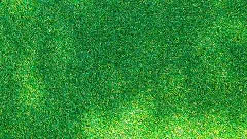 Shadow on green grass background Stock Photos