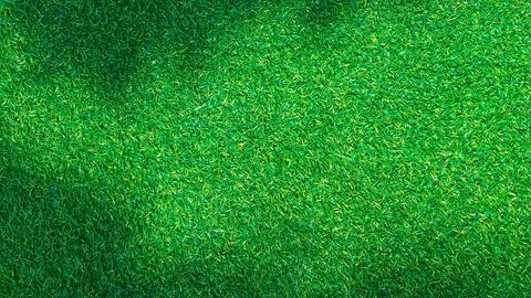 Shadow on green grass background Foto stock