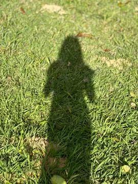 Shadow on the green grass Stock Photos