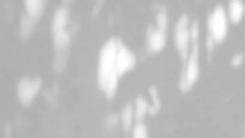 Shadow Grey Background Wall Light White Overlay Abstract Stock Footage 279713600