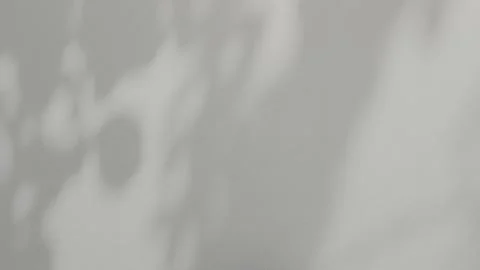 Shadow grey background wall light white overlay abstract plant 4k Stock Footage 340117290