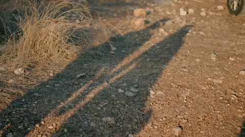 Shadow on the ground of the bride and groom with a bouquet walking outdoor Stock Footage 227870661