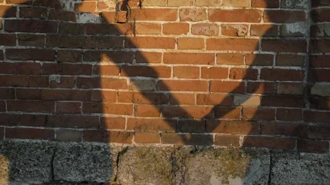Shadow of guy with girl on brick wall. Video stock 170361054