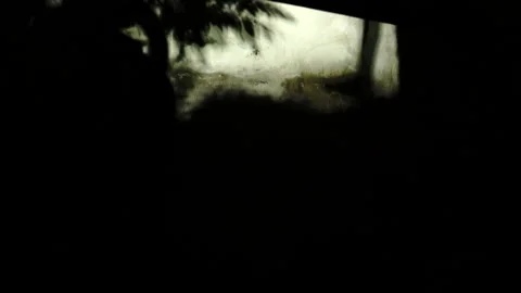 Shadow of a guy on a wall - 4K 3 Stock Footage 297608326