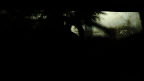 Shadow of a guy on a wall - 4K 4 Stock Footage 297608274