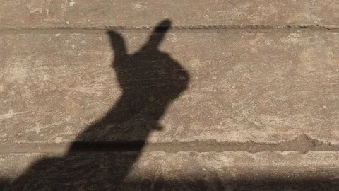 Shadow of hand and finger is making symbolizes on cement flooring Stock Footage 149362386