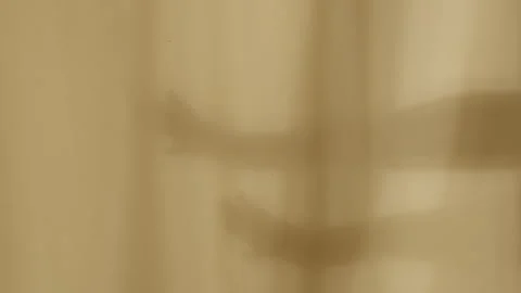 The shadow of a hand doing a ballet move  Stock Footage 300971809