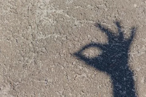 Shadow of hand at ground Stock Photos