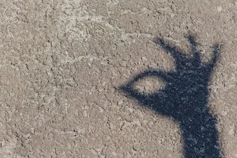 Shadow of hand at ground Stock Photos