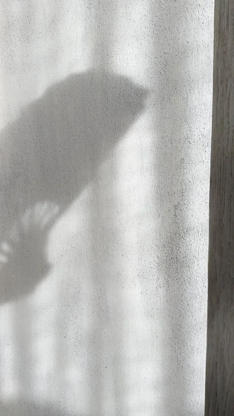 Shadow of Hand Opening Folding Fan on Brutalist Concrete Wall Vertical Stock Footage 339433578