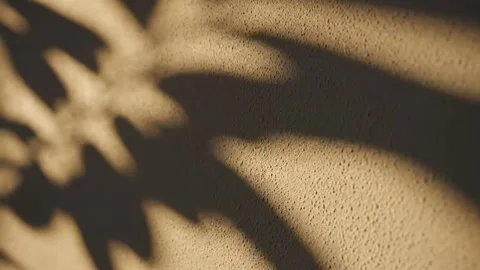 Shadow of Hand on Sand Stock Footage 324807474
