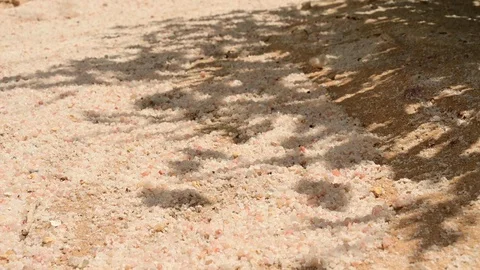 Shadow of a hand on sandy landscape Video stock 115444963
