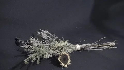 Shadow of a hand trying to take a dried bouquet of flowers Stock Footage 141964669