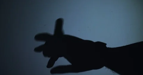 The shadow of the hand which depicts a rabbit on a blue background Stock Footage 123503223