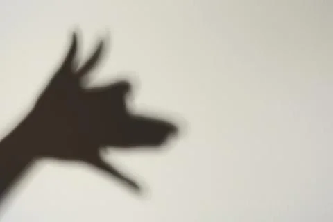 Shadow of hands like dog on light background, space for text. Black and whi.. Stock Photos