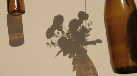 Shadow hanging jars with flowers on wall . Vídeo Stock 62434244