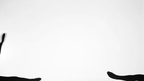 Shadow the hedgehog shadow theatre Stock Footage 81398400