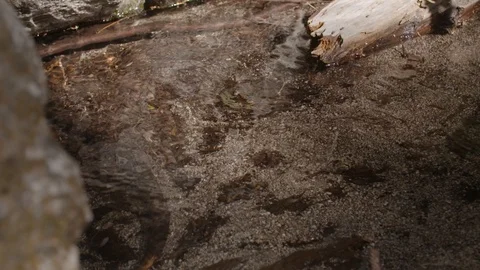 Shadow of a hiker passes over a brook Stock Footage 91708332