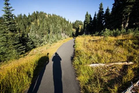 Shadow of hikers on a path at Hurricane Ridge, Olympic National Park Stock Photos