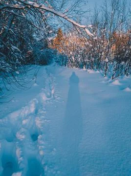 The shadow of a human and human deep tracks in the snow on a sunset in winter Stock Photos
