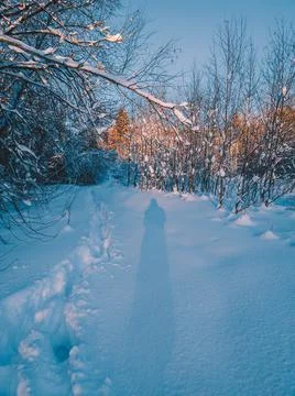 The shadow of a human and human deep tracks in the snow on a sunset in winter Stock Photos